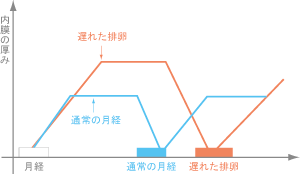 排卵がおくれると子宮内膜が厚くなる説明。模式図